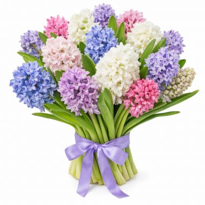 Гиацинт микс 1