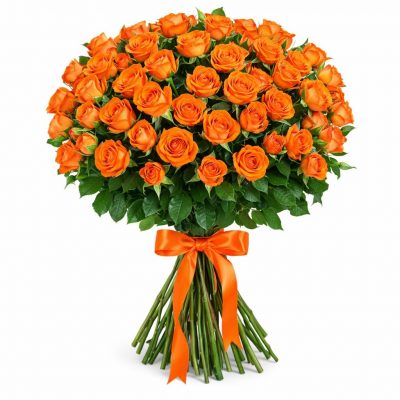 Розы Кустовые оранжевые