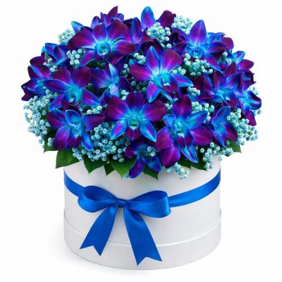 Цветы в коробке «Амброзия цветов»