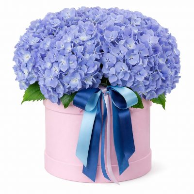 Цветы в коробке «Индиго»