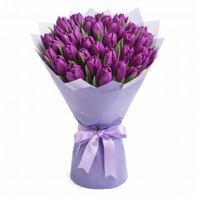Тюльпаны фиолетовые